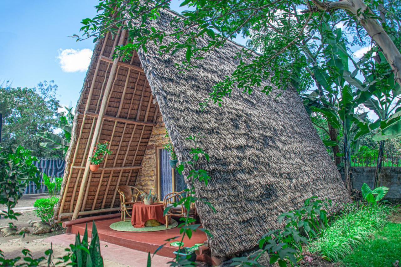 Charming Eco-Homestay Near Kilimanjaro International Airport 아루샤 외부 사진
