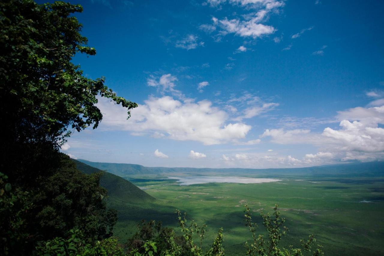 Charming Eco-Homestay Near Kilimanjaro International Airport 아루샤 외부 사진