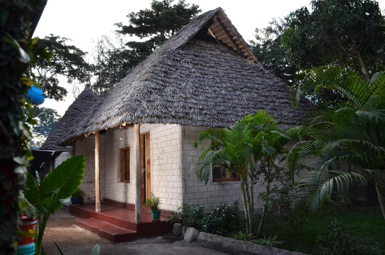 Charming Eco-Homestay Near Kilimanjaro International Airport 아루샤 외부 사진