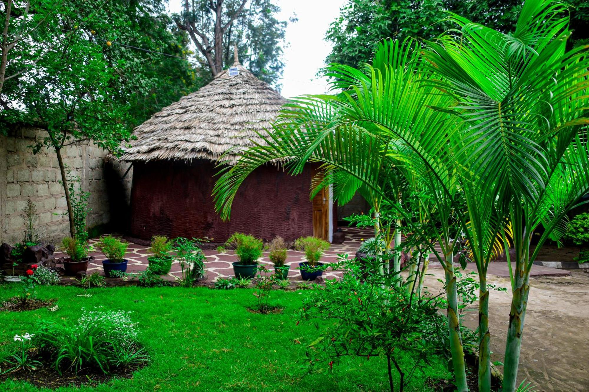 Charming Eco-Homestay Near Kilimanjaro International Airport 아루샤 객실 사진